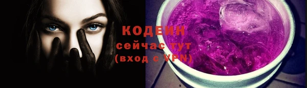 a pvp Пересвет