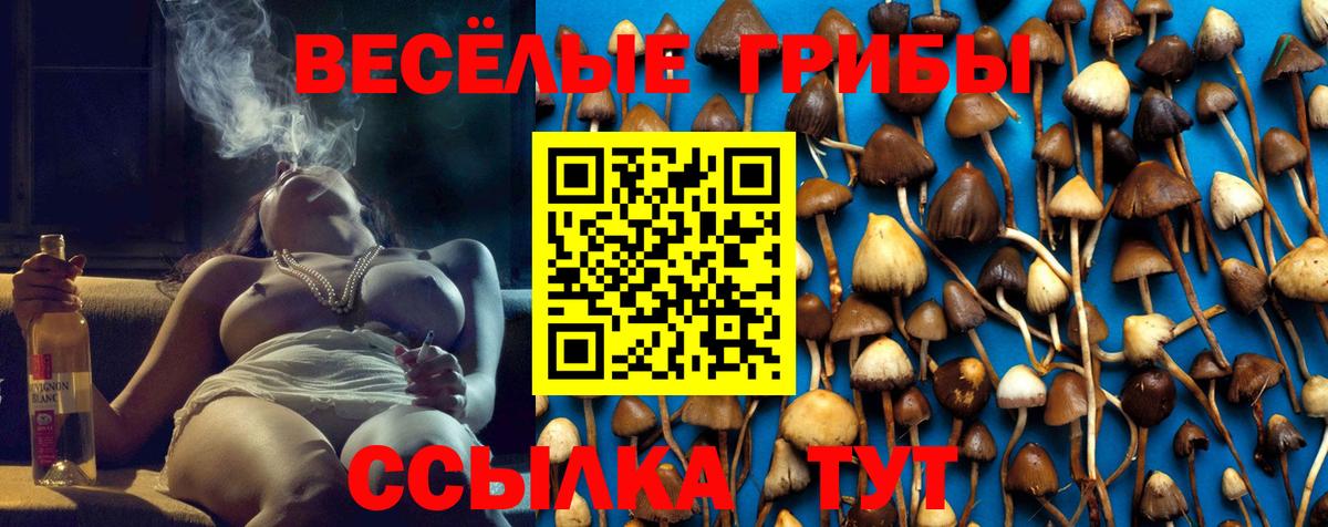 Псилоцибиновые грибы мицелий Советская Гавань